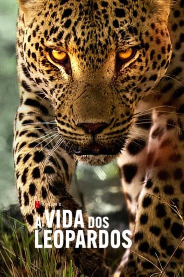 A Vida dos Leopardos